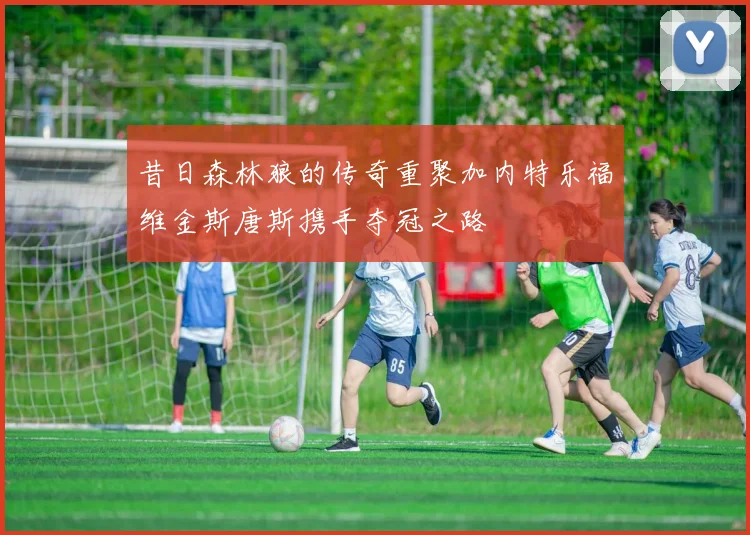 昔日森林狼的传奇重聚加内特乐福维金斯唐斯携手夺冠之路